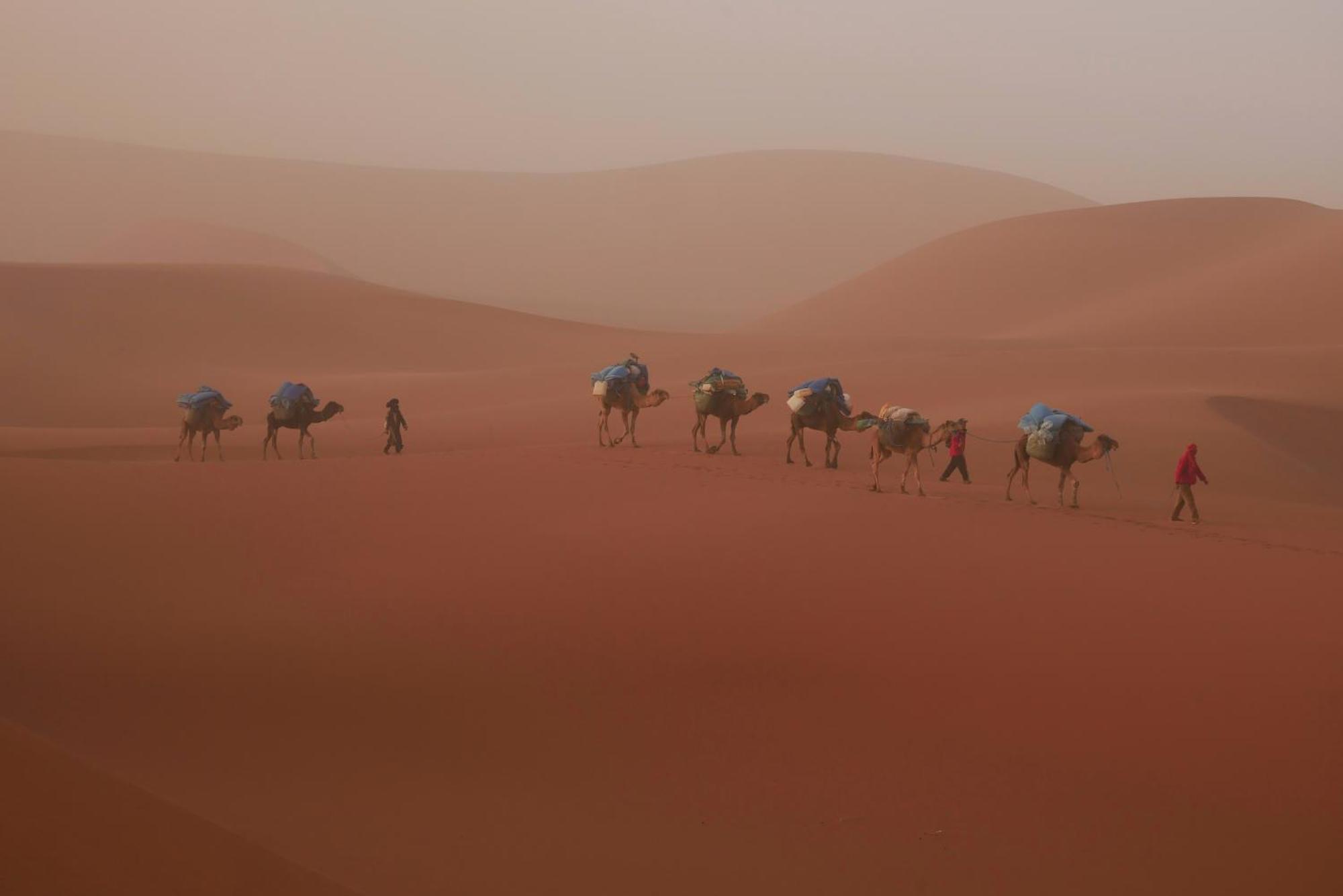 Jardin Du Desert M'Hamid Exteriör bild
