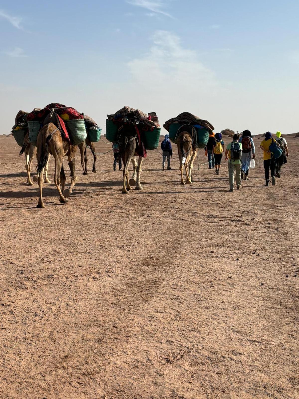 Jardin Du Desert M'Hamid Exteriör bild