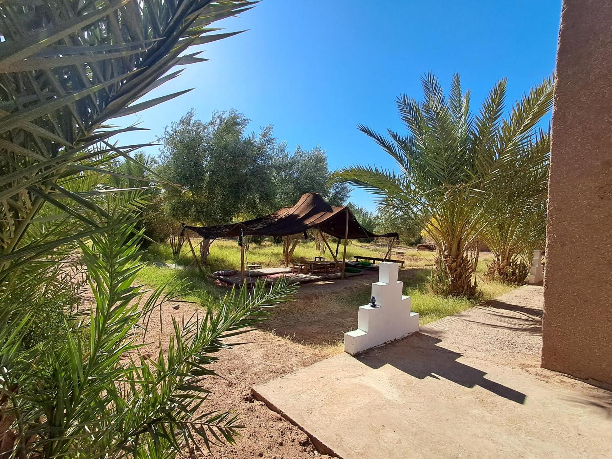 Jardin Du Desert M'Hamid Exteriör bild