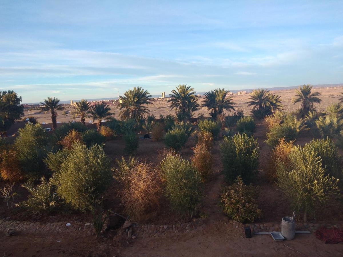 Jardin Du Desert M'Hamid Exteriör bild